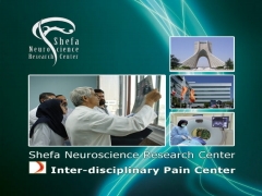 An Introduction to Khatam ol Anbia Hospital Interdisciplinary Pain Center
